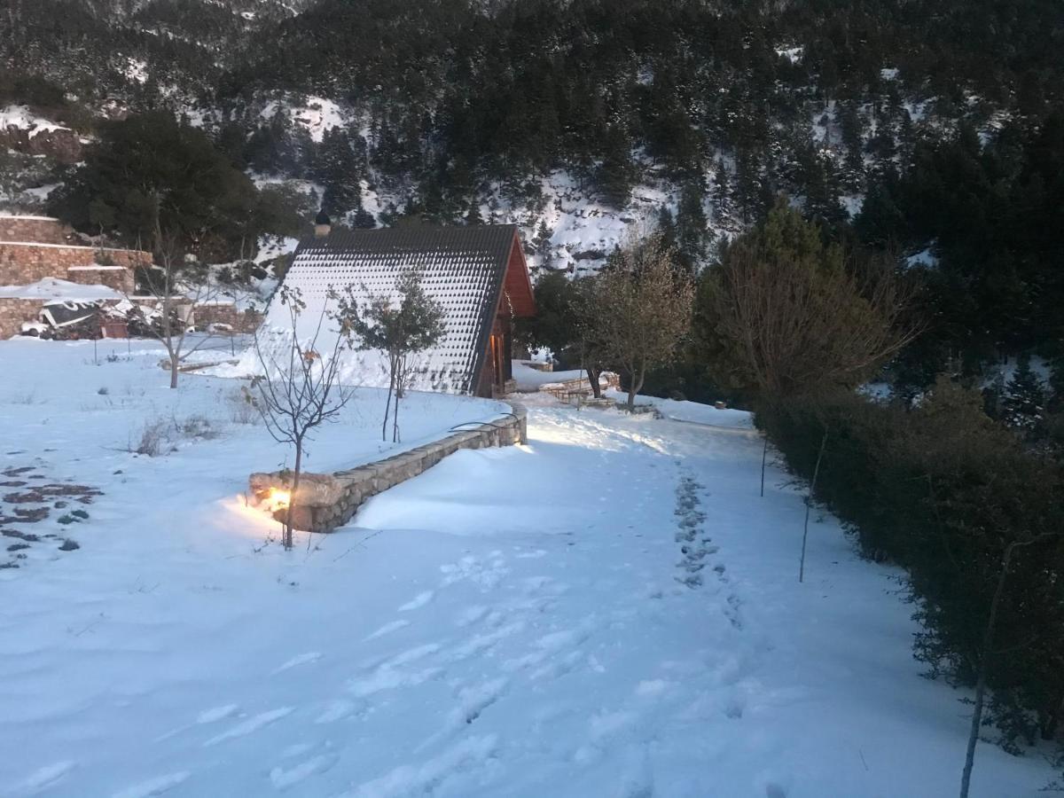 Chalet In The Forest Kalavryta Exterior foto