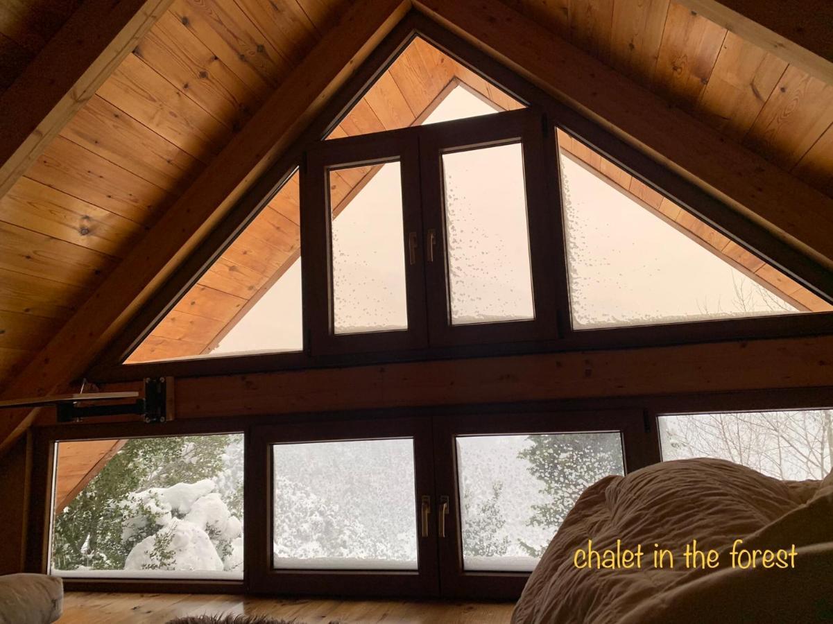 Chalet In The Forest Kalavryta Exterior foto