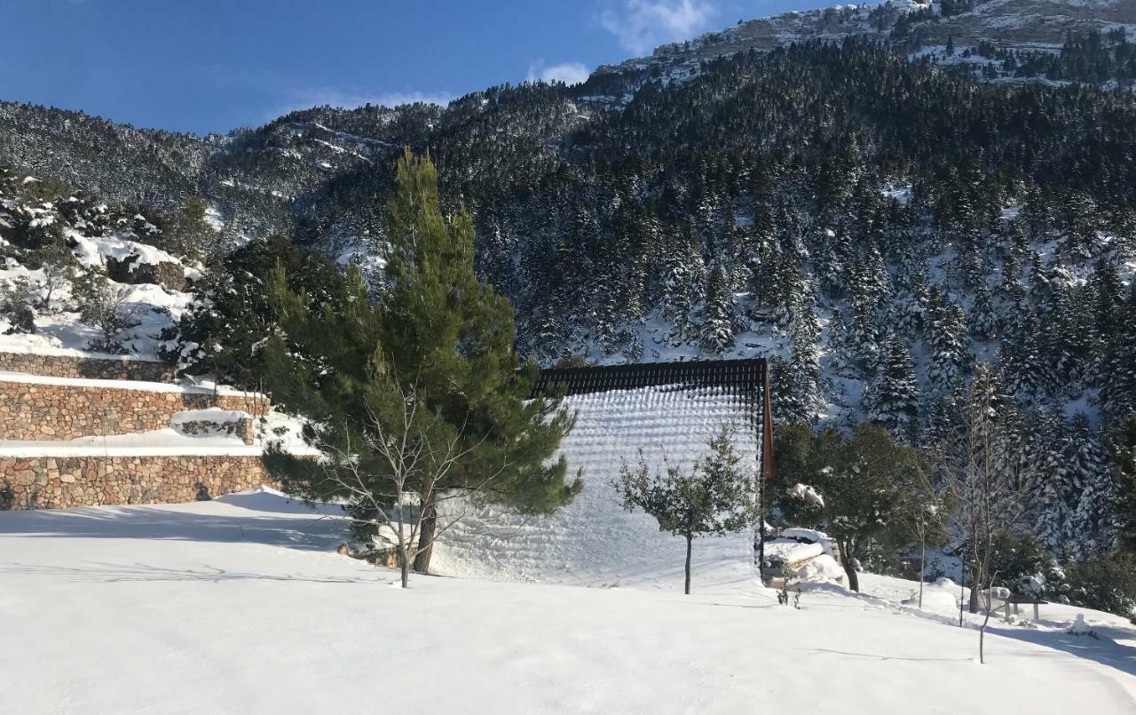 Chalet In The Forest Kalavryta Exterior foto