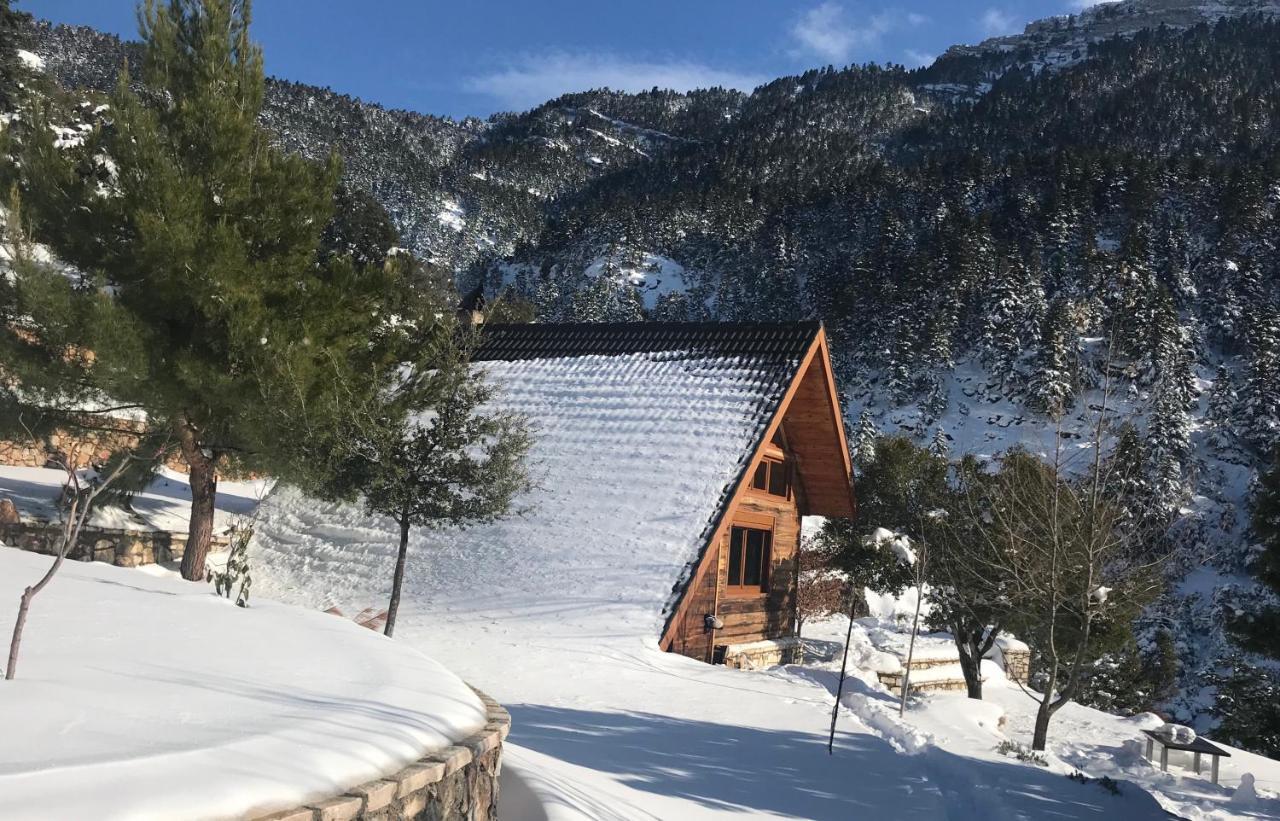 Chalet In The Forest Kalavryta Exterior foto
